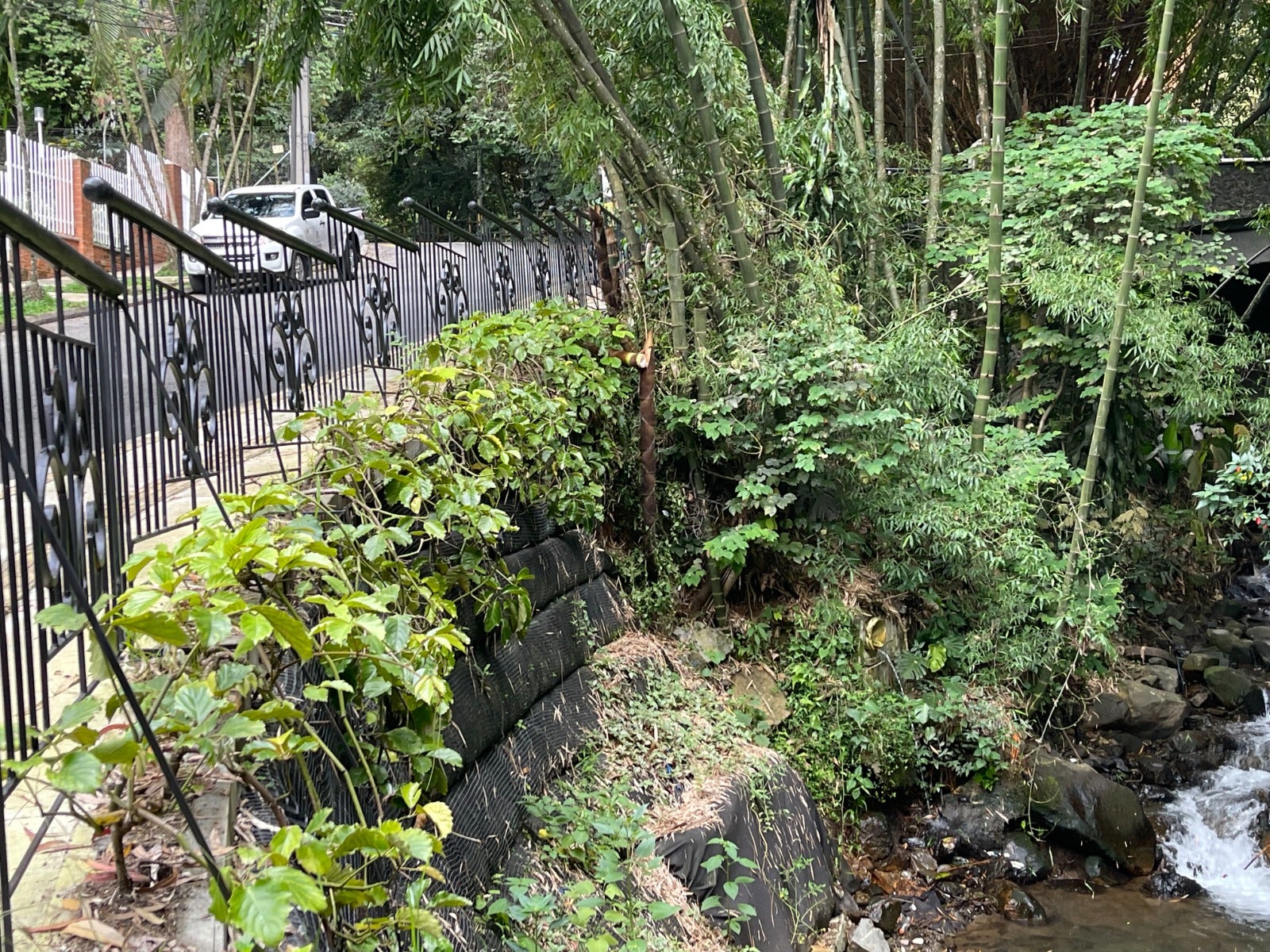 [FOTOS] Con una inversión de $82 mil millones, Medellín recupera el 100% de sus áreas verdes