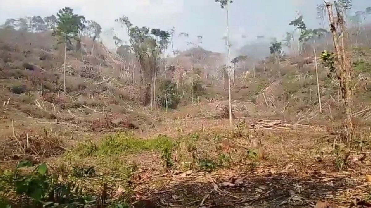 Archivo - Incendio Antioquia - 2025