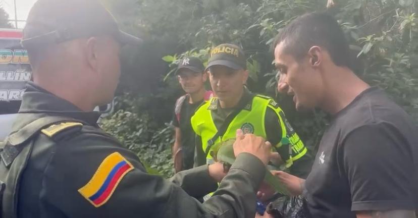 Detienen en Antioquia a sujeto que transportaba un ave en peligro de extinción