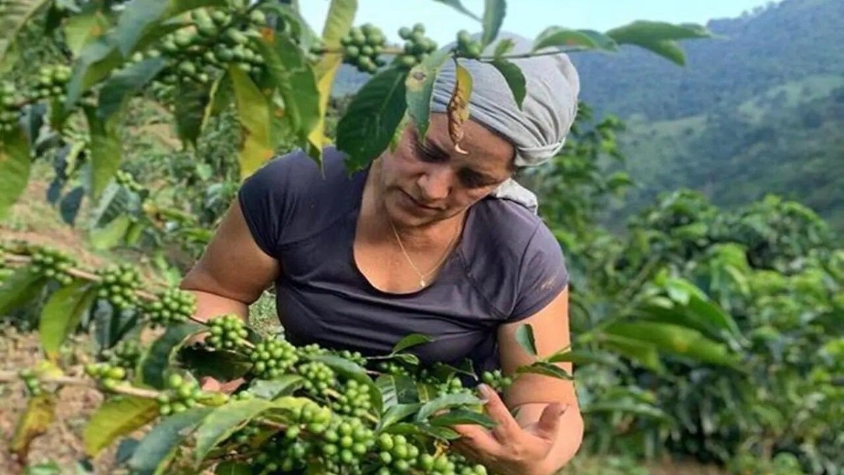 Productores agropecuarios