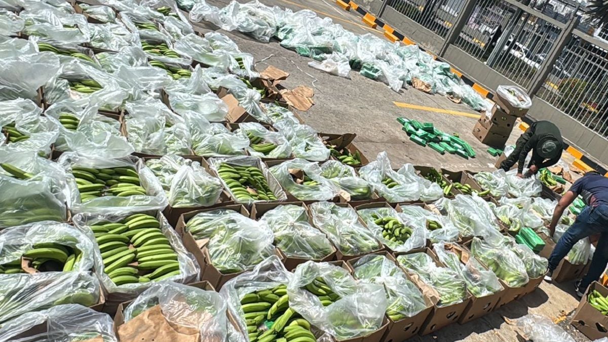 Carga de banano - Contaminada - 2025