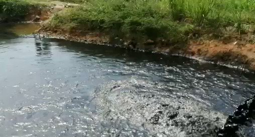 Derrame hidrocarburos