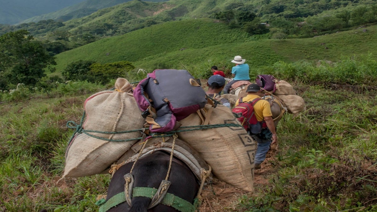 Crecen las amenazas de grupos armados en el Tolima: Familias huyen para salvar sus vidas