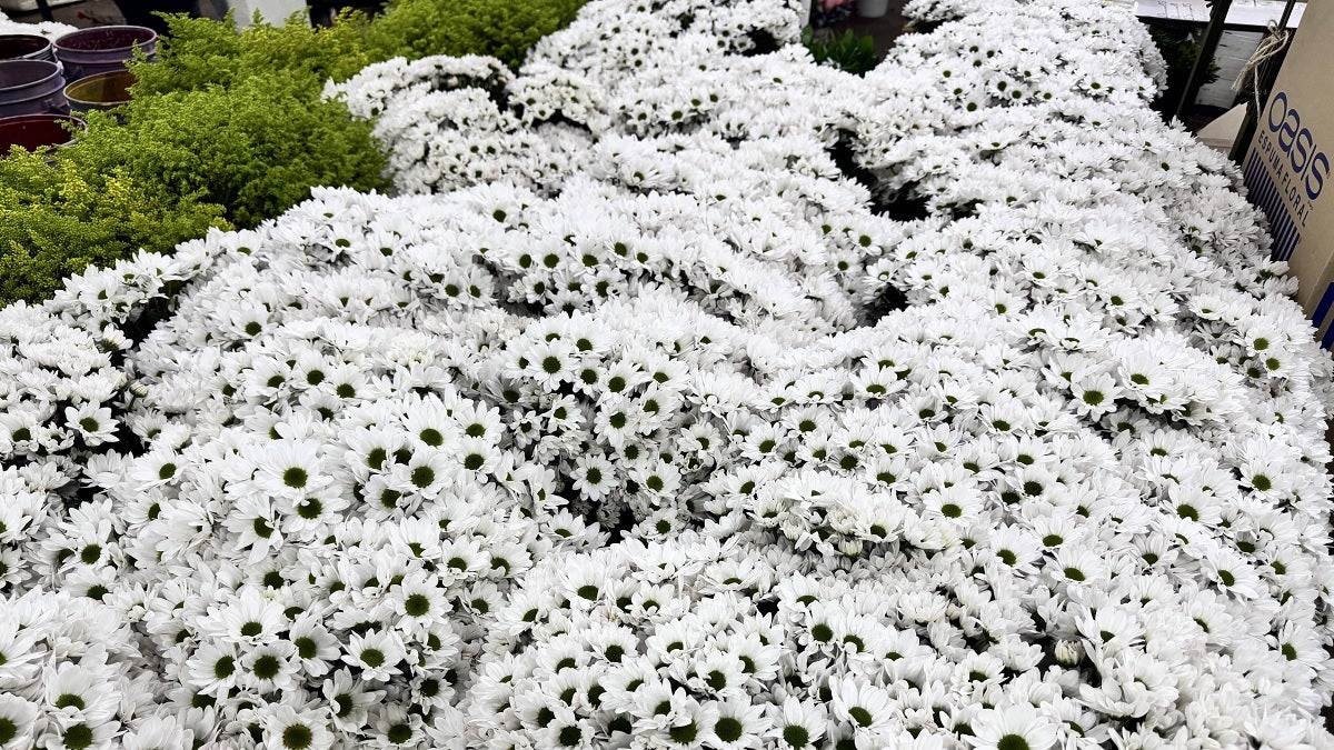 Entre enero y febrero Antioquia exportó, en promedio en los últimos seis años, 54,1 millones de dólares FOB