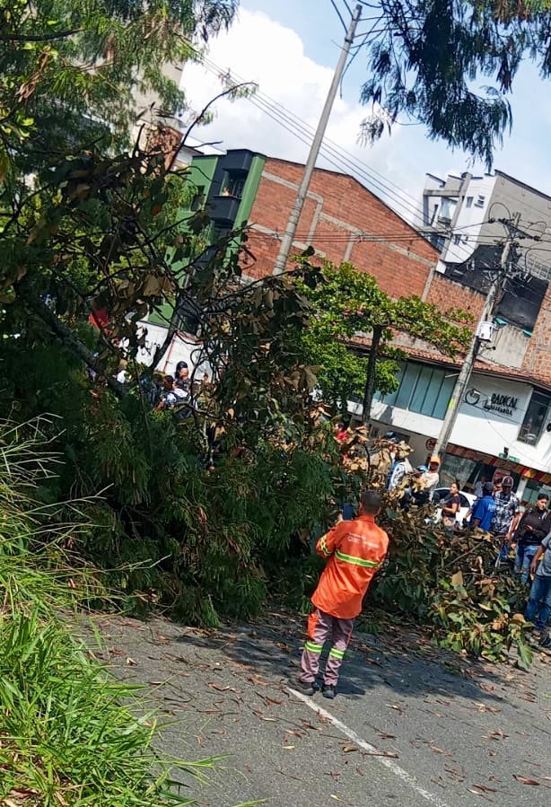 Policía se murió al caerle un árbol encima