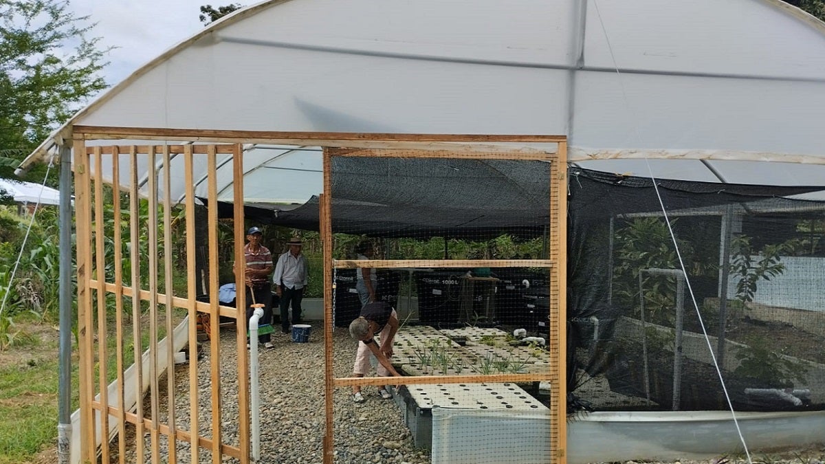 Primera granja de acuaponía autosostenible en Chigorodó