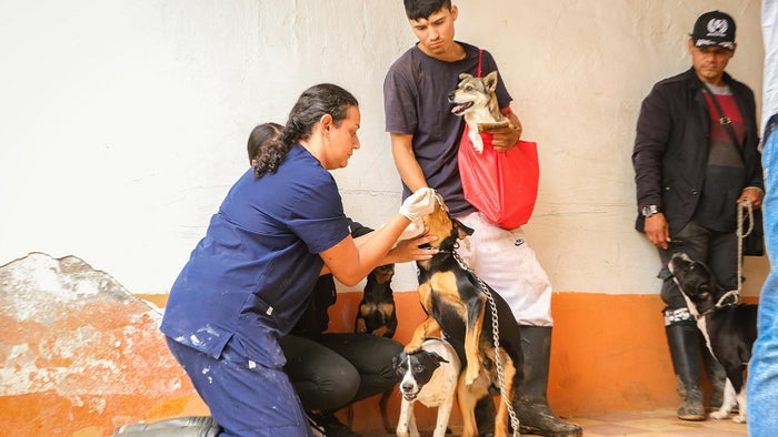 Maratón rural de bienestar animal en Marinilla