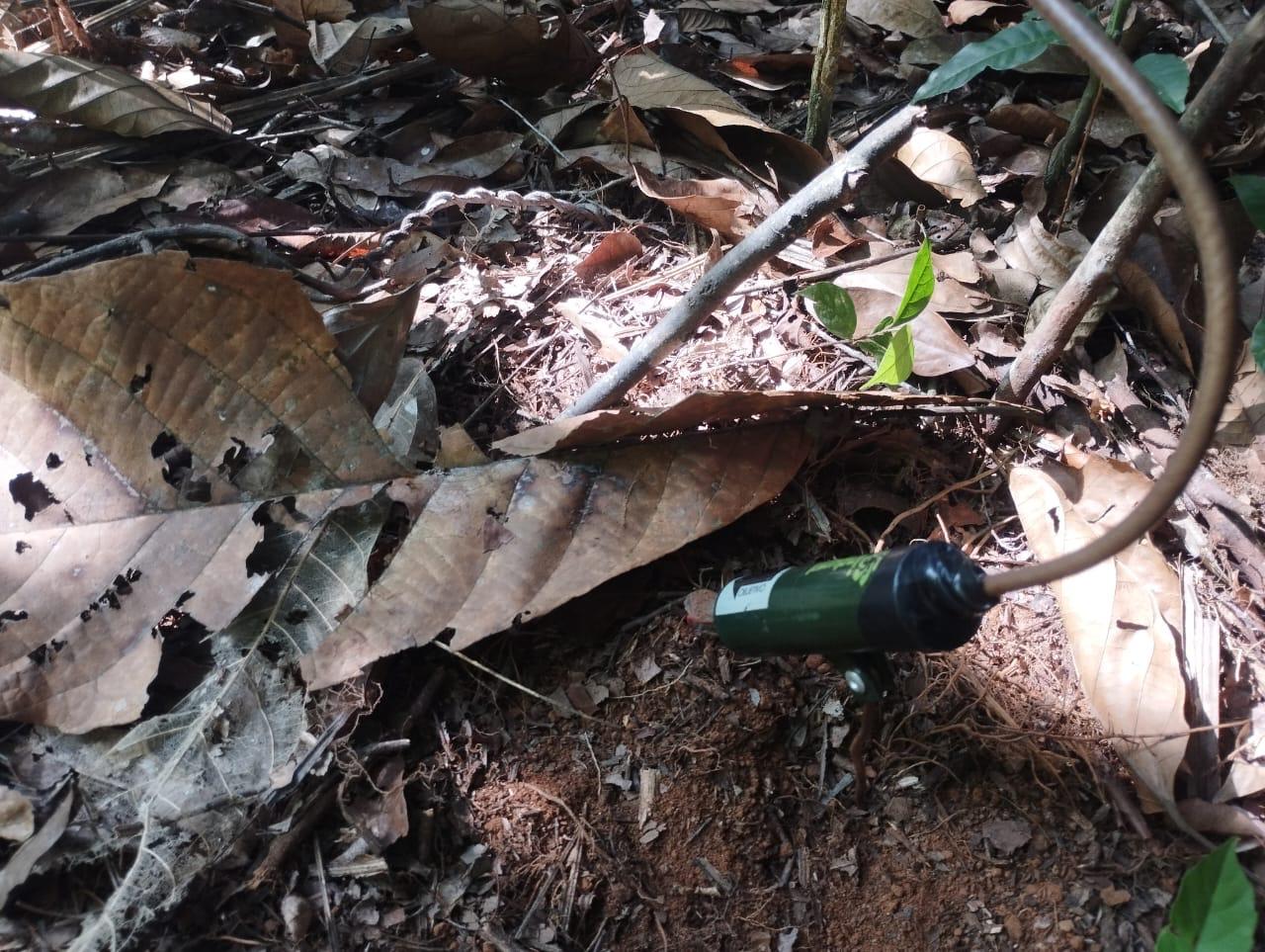 Gobernadora de Chocó denuncia ante OEA que 80% del territorio está minado