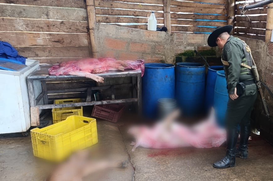 Incautan 3 toneladas de carne ilegal encaletada en una cava de aluminio en Antioquia