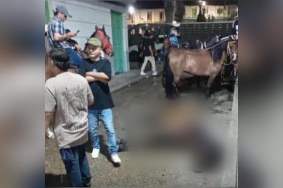 Indignación en Santo Domingo: Caballo muere por presunto infarto tras cabalgata de dos días