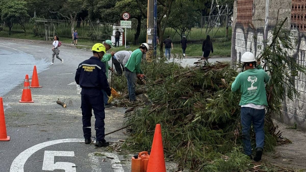 Caída de árbol - 2025 - Antioquia