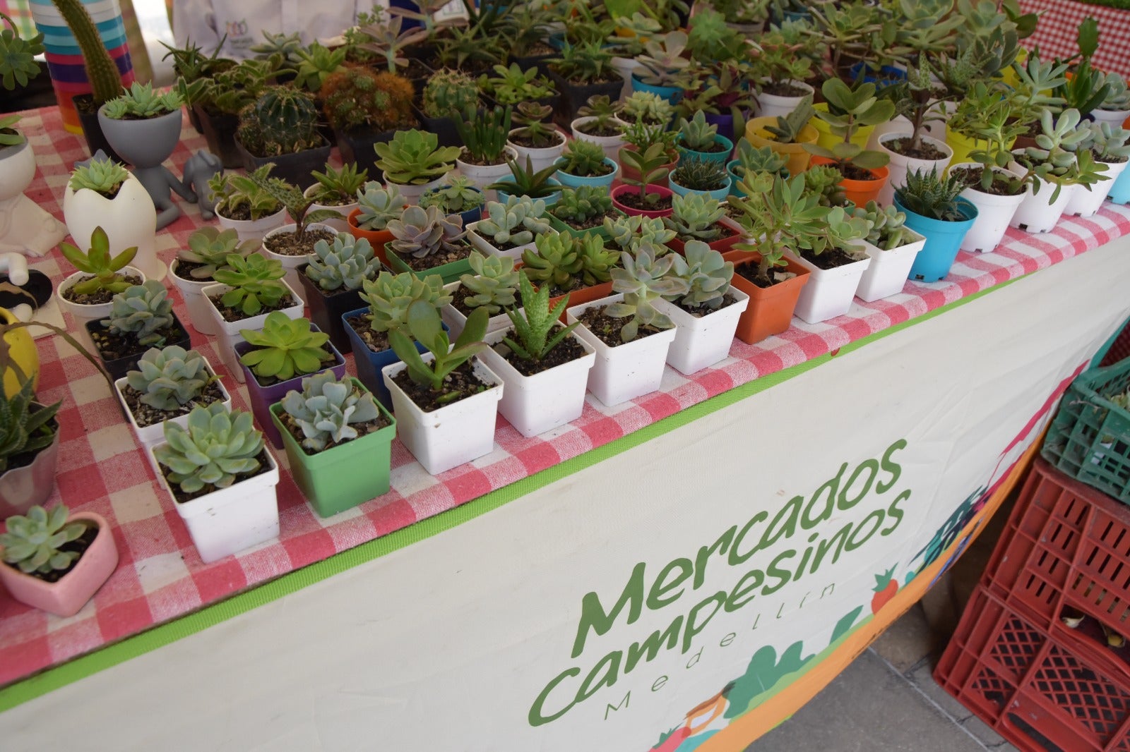 Mercados campesinos en Medellín