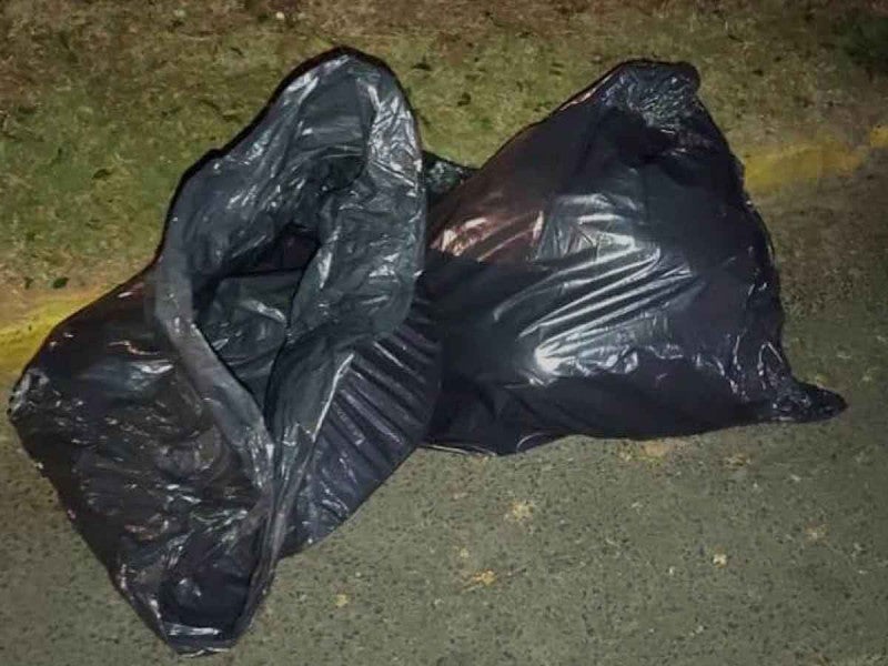 Un tórax y una cabeza humana cercenada fueron hallados dentro de una bolsa en zona boscosa de Medellín