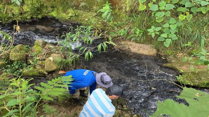Vertimientos irregulares en quebrada Yarumal