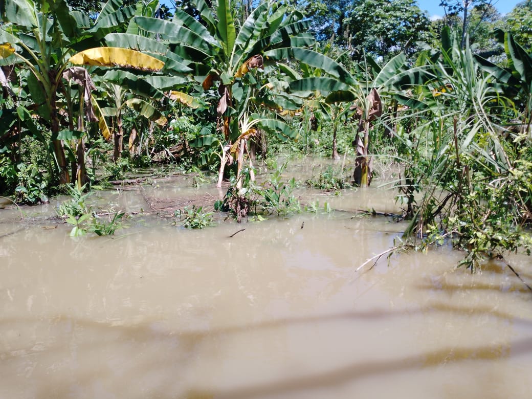 Lluvias en Vigía del Fuerte
