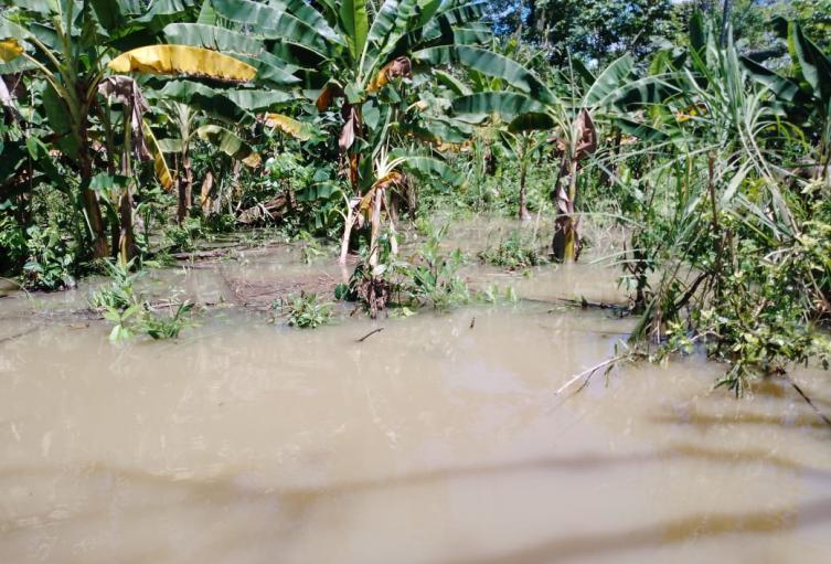 Vigía del Fuerte, Antioquia
