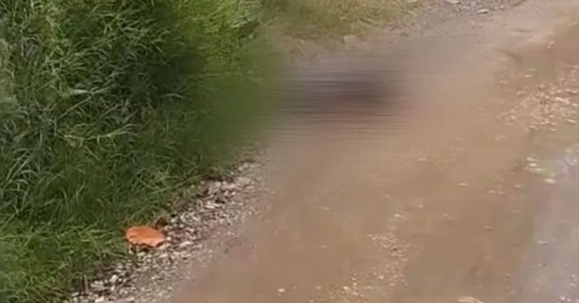 Con múltiples disparos hallaron un cadáver en Marinilla: Investigan ajuste de cuentas como posible móvil