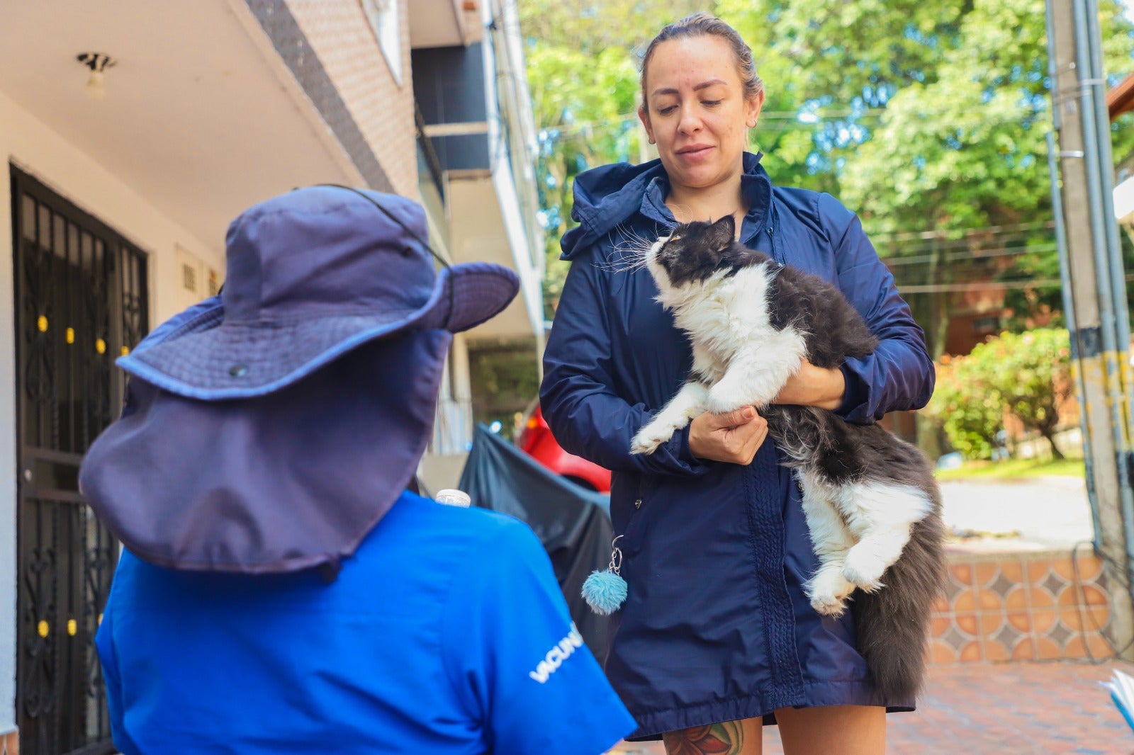 Vacunación para perros y gatos