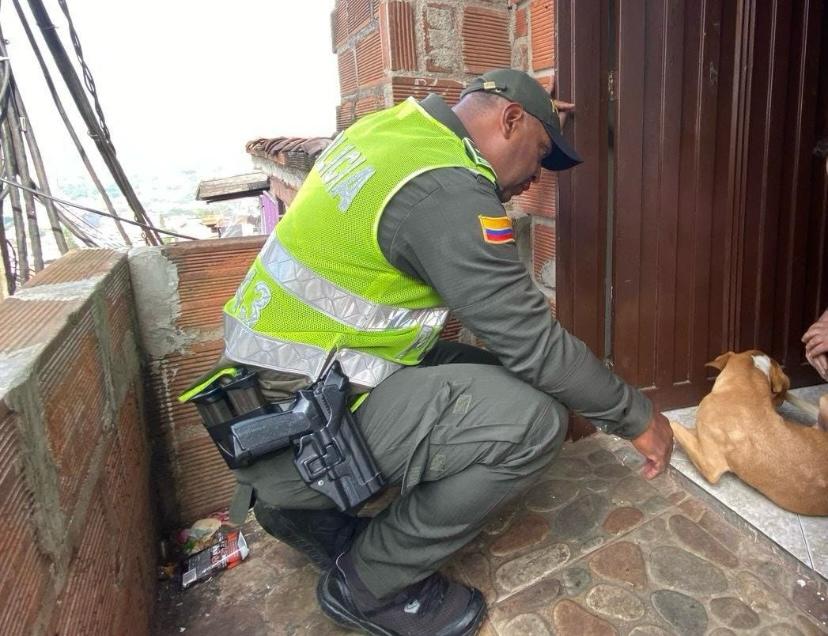 Al sol y al agua: Rescataron a un canino abandonado en el techo de una vivienda en Manrique