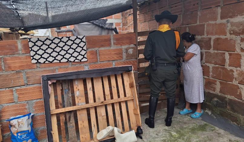 Rescataron a cuatro perritos golpeados con un palo por adulta mayor en Medellín