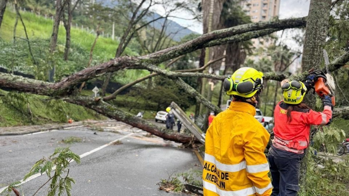 Árboles caídos en Medellín
