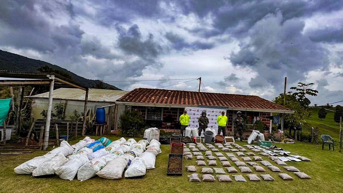 Marihuana incautada en Antioquia