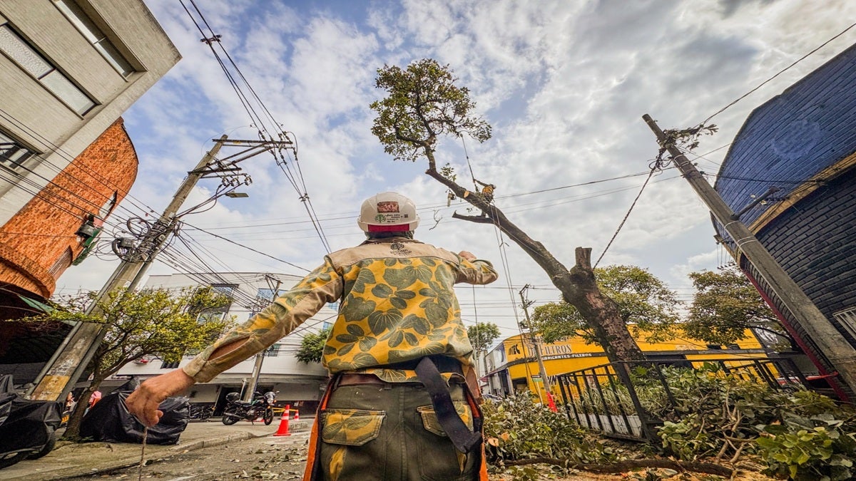 Entre el 10 y el 31 de marzo fueron talados 42 árboles que presentaban riesgo de caída en Medellín