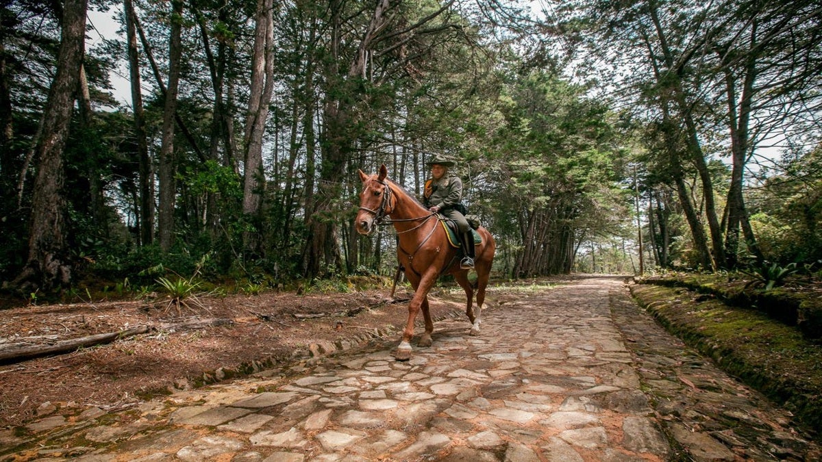 Alcaldía de Medellín informó que logró superar el déficit que había en el Parque Arví