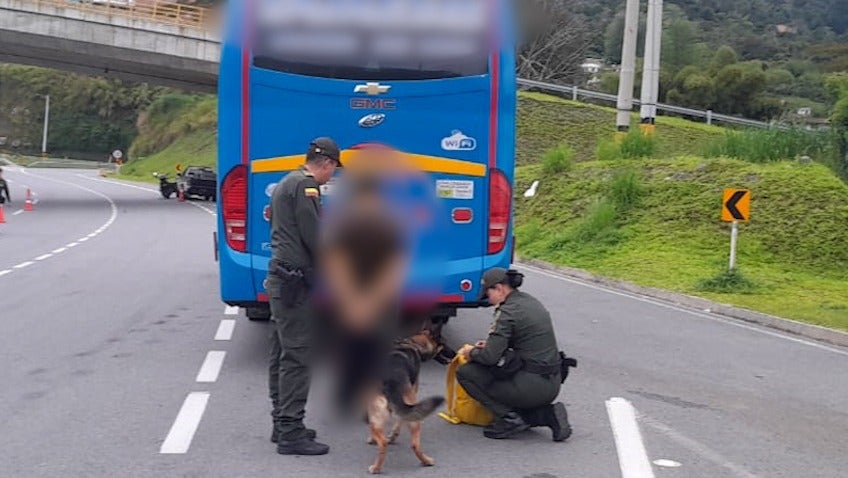Perro antinarcóticos detectó arma y drogas que ocultaba un pasajero dentro de un bus en Santa Bárbara, Antioquia