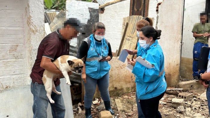 Evacuación en zonas de alto riesgo en Altavista, Medellín