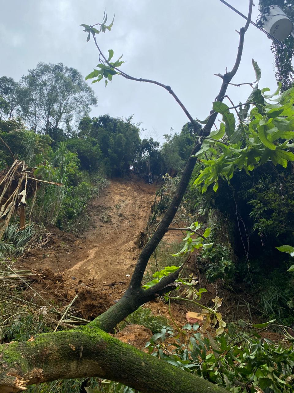 La historia de ocho sobrevivientes que escaparon de la muerte en el invierno de Medellín