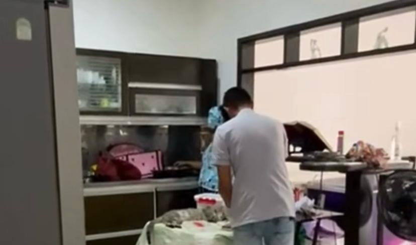 Dos mascotas murieron y otras dos fueron hospitalizadas tras jornada de esterilización en Urabá