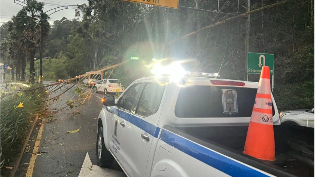 Lluvias en Medellín provocaron caídas de árboles