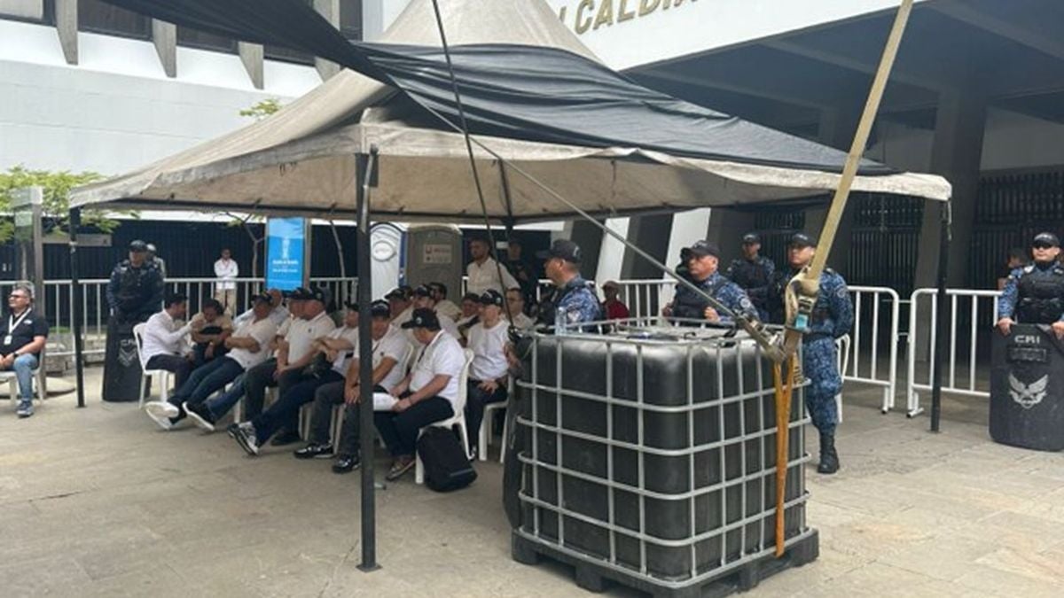 Paz Urbana - Escandalo - 2025 Medellin