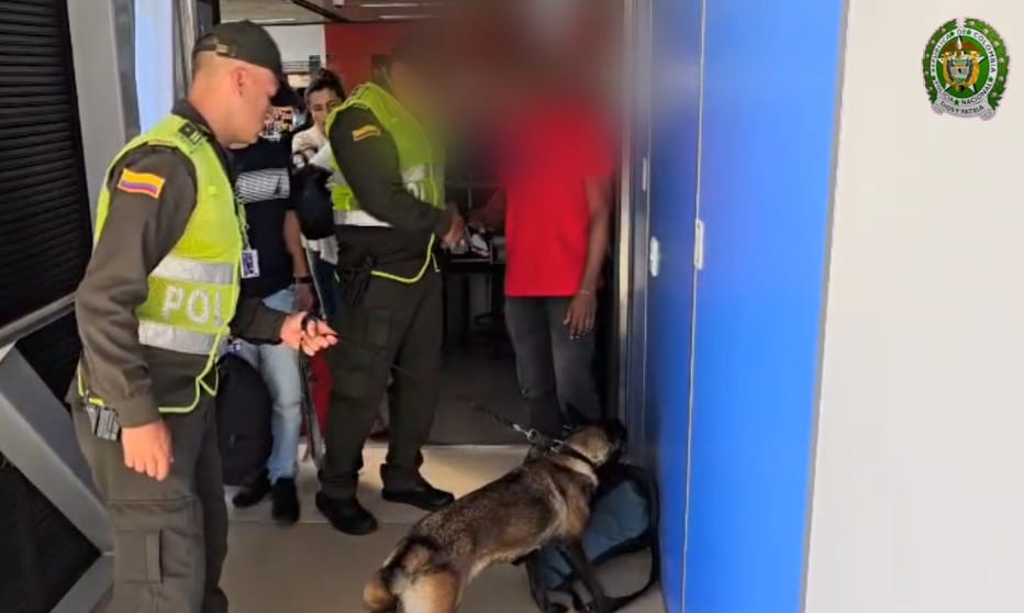 Incautación de marihuana en el Aeropuerto José María Córdova