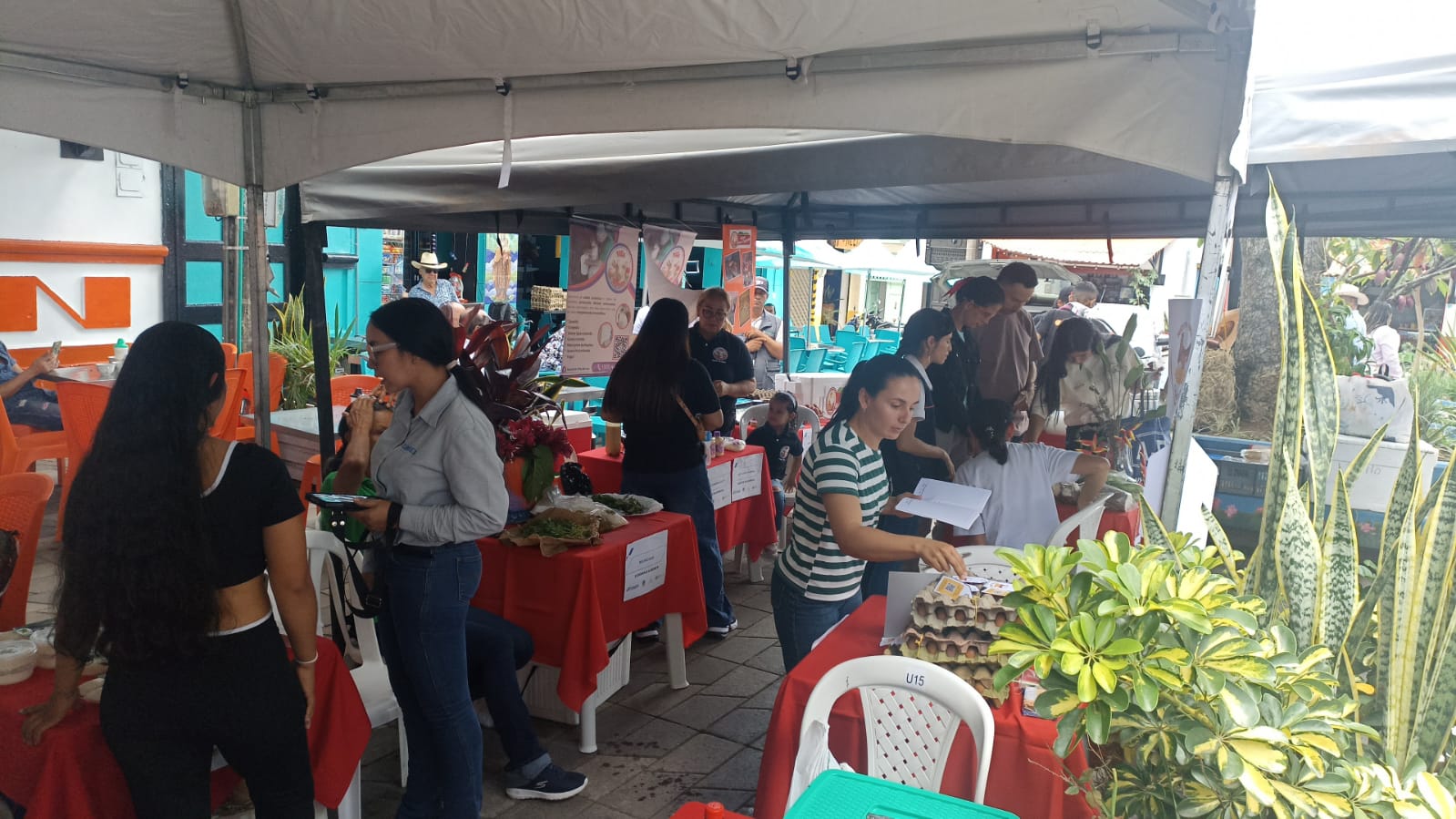 Feria de emprendimiento de Maceo