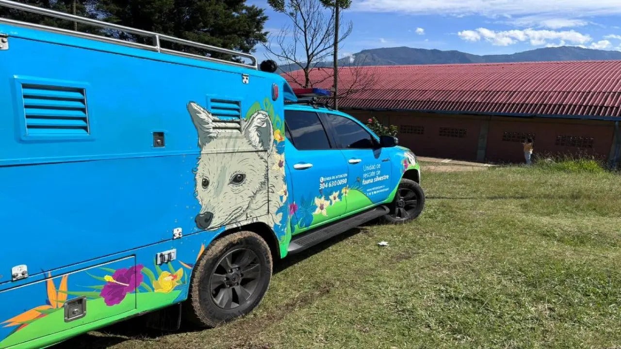 Animales en emergencias por lluvias