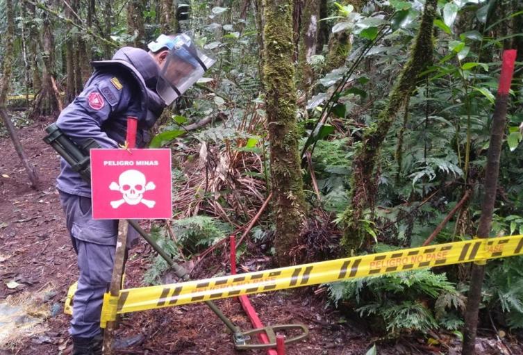 Suspenden desminado humanitario en el norte de Antioquia