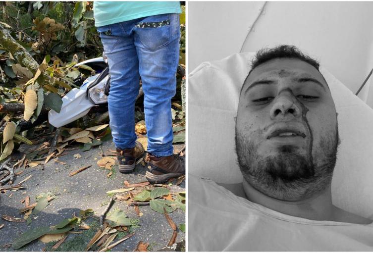 Víctima de caída de árbol en Medellín podría demandar a la Alcaldía por reparación directa