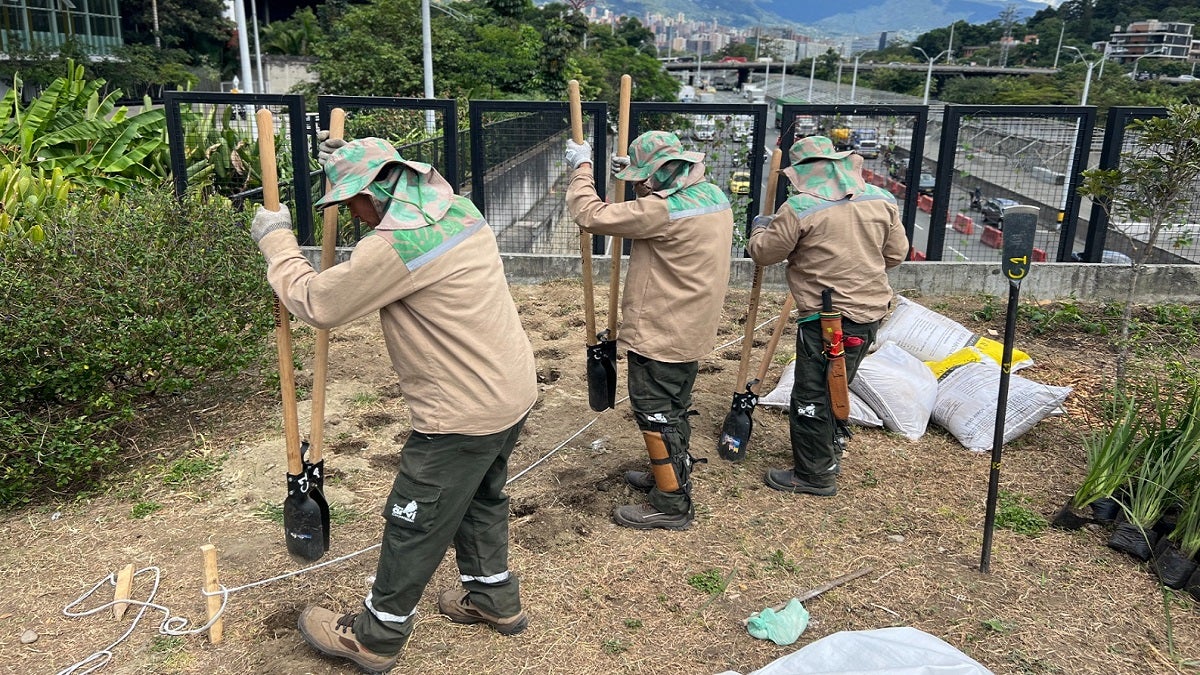 Intervención zonas verdes en Medellín