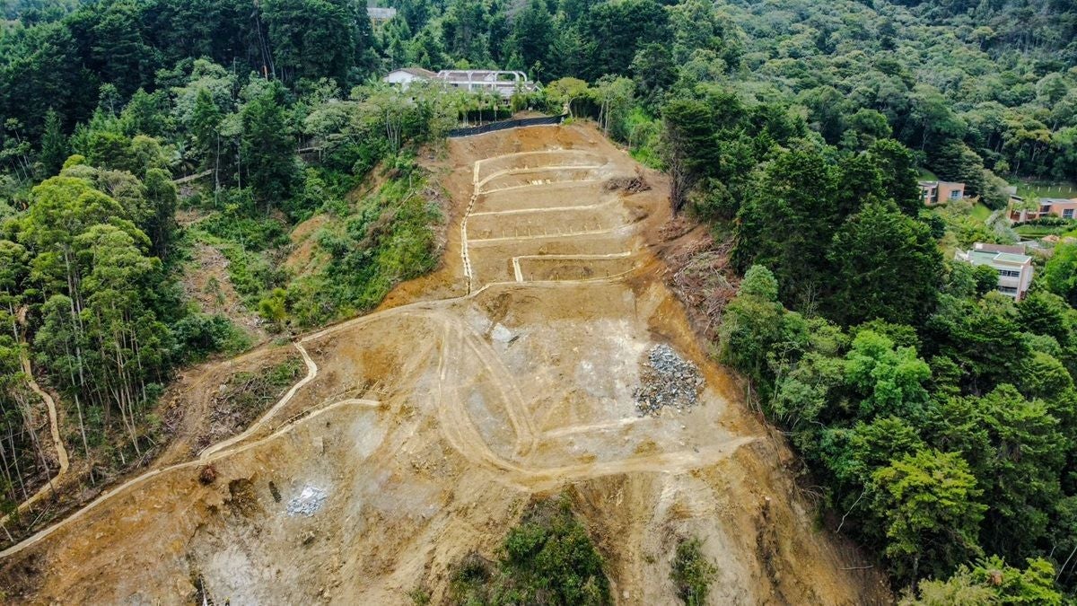 Loma Balsos - Medellín - 2025