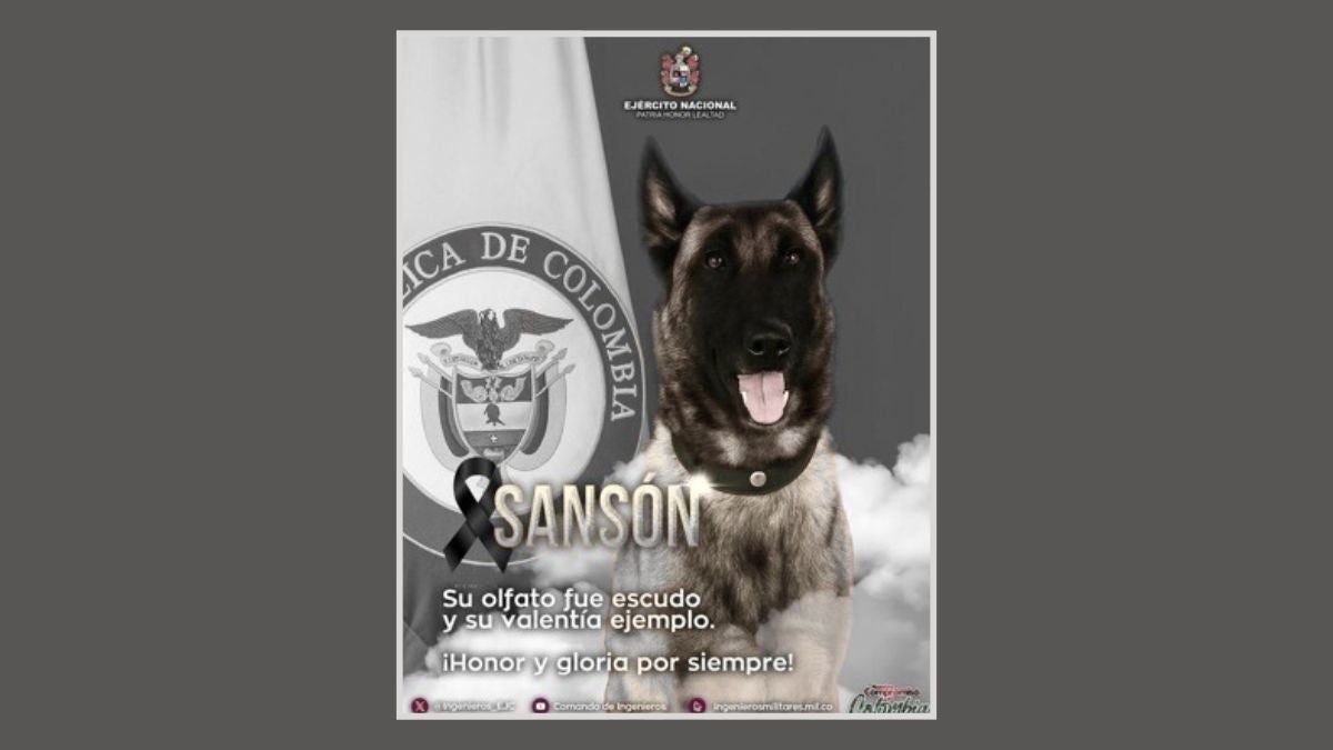 Sansón
