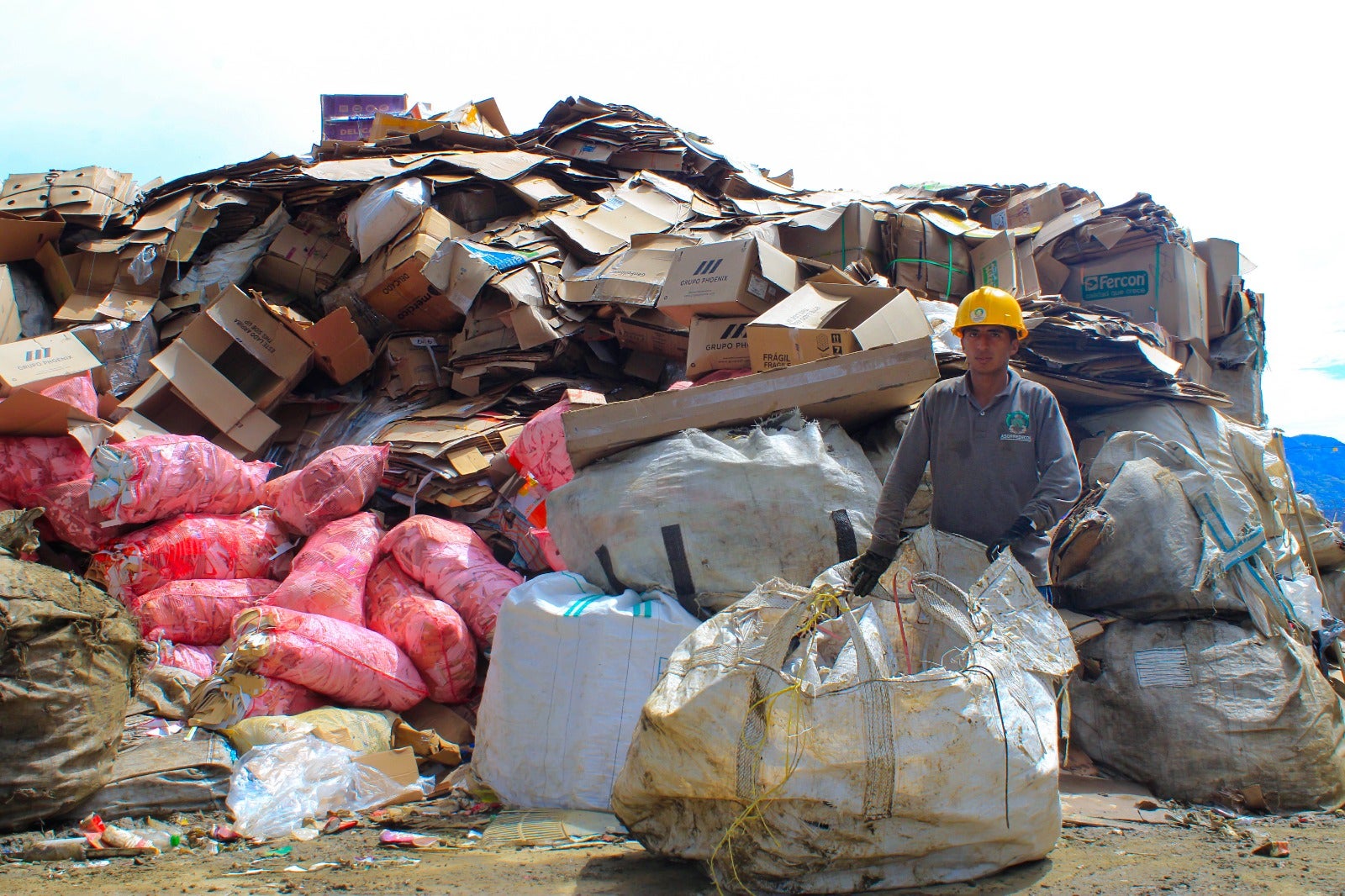 Recicladores aportan a la economía circular y ayudan a reducir la presión del relleno sanitario