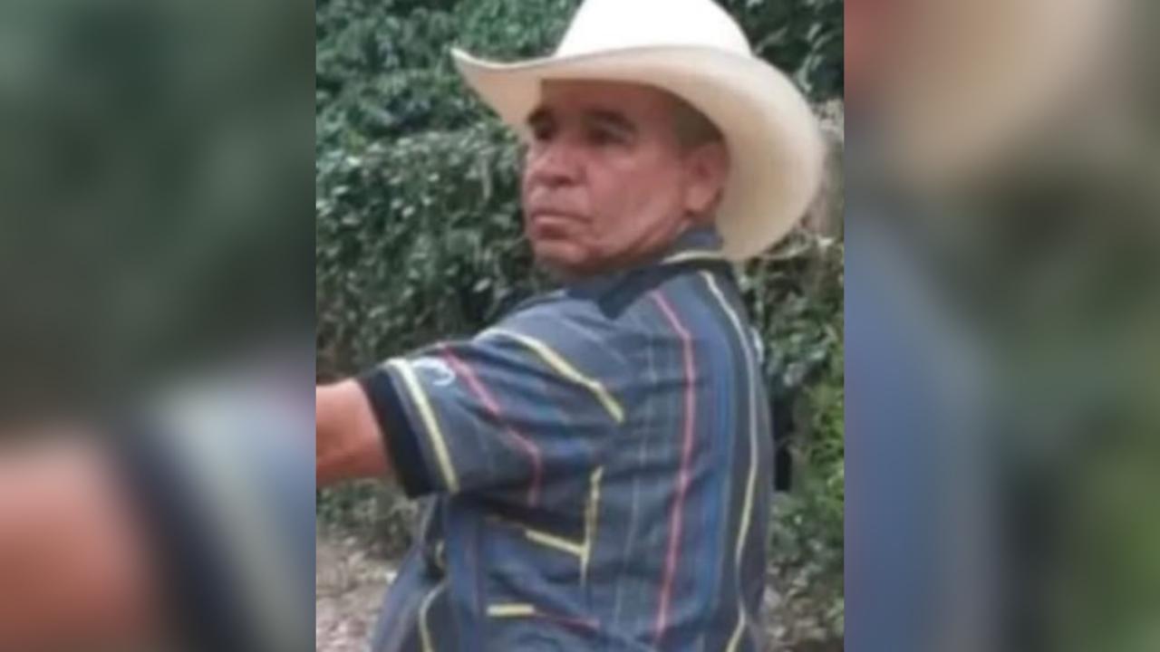 Tragedia en Betania: Caída de rama mata a aserrador durante labores de tala