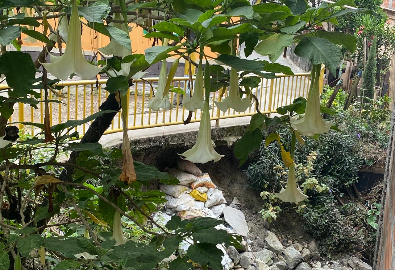 Andén en El Picacho está a punto de colapsar y pone en riesgo viviendas; piden intervención urgente