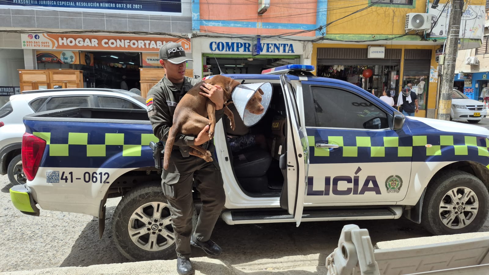 Canino resultó herido con un machete por ladrones en Apartadó: recibió más de 20 puntos