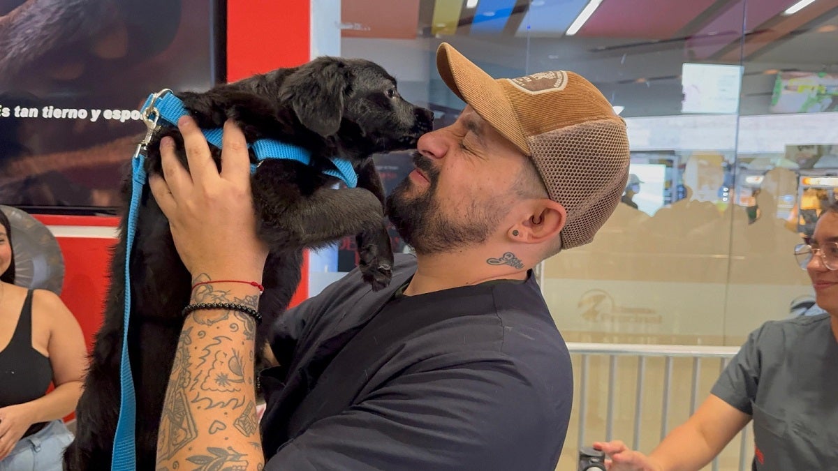 Adopción de mascotas en Medellín