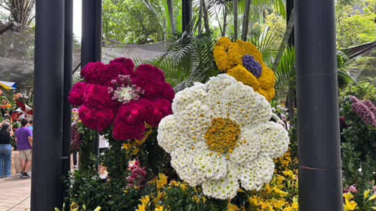 Florecer - Medellín Agos 2025