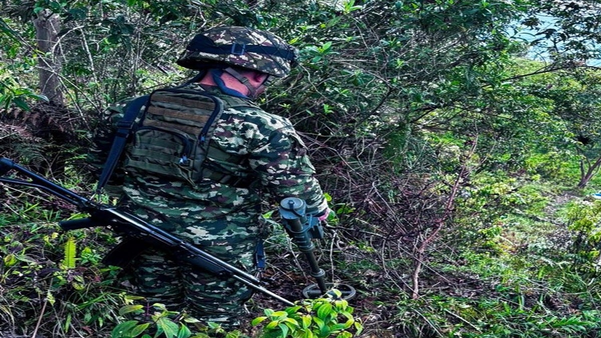 Cuatro explosivos fueron ubicados y destruido en zona rural del municipio de Briceño (Antioquia)