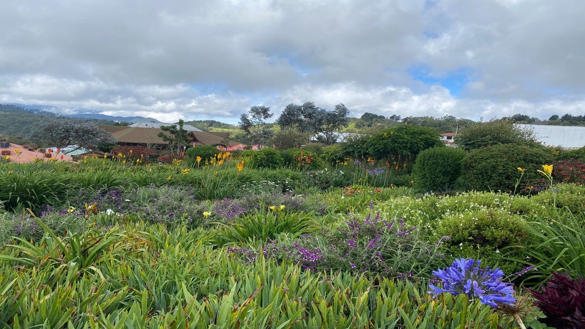 Ocho fincas silleteras de Envigado abrieron sus puertas para la ruta silletera